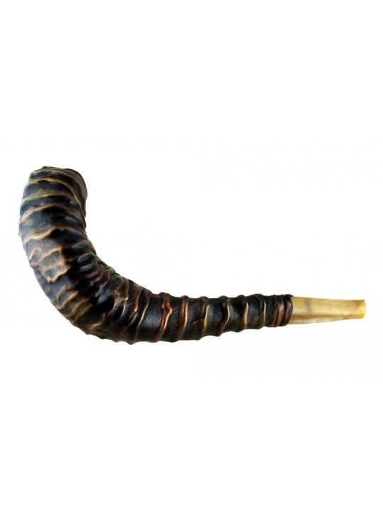 Superbe Shofar en corne de bélier relié en cuir | Shofars décorés