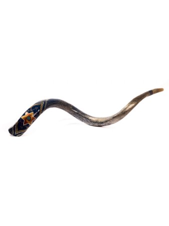 Collectionneurs peints à la main yéménite Shofar Gold St... | Shofars décorés