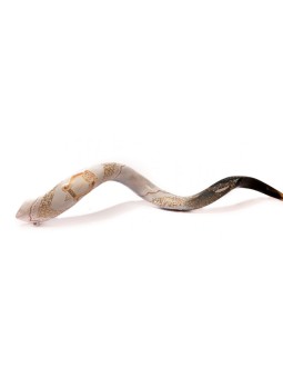 Lyre d’or Shofar yéménite peinte à la main des collectionneurs | Shofars décorés