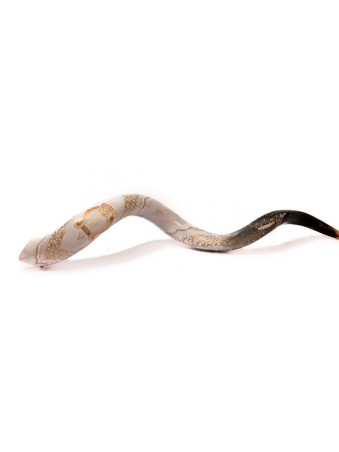 Lyre d’or Shofar yéménite peinte à la main des collectionneurs | Shofars décorés