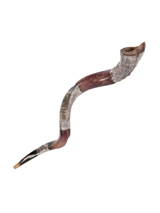 Jerusalem Ancient Coin Design Silver Yeme... | Sterling Silver Shofars