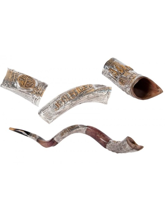 Jerusalem Ancient Coin Design Silver Yeme... | Sterling Silver Shofars