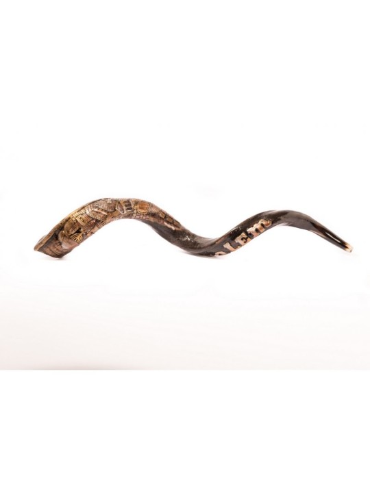 Shofar yéménite sculpté à la main Jérusalem | Shofars décorés