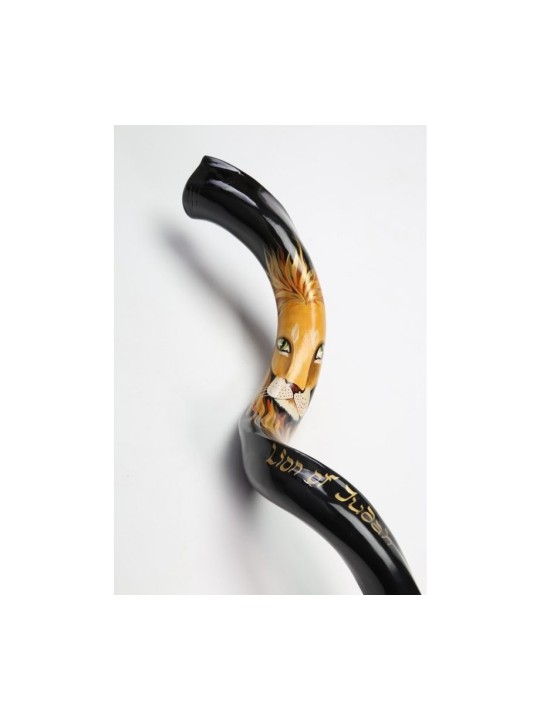 Lion Shofar yéménite peint à la main de Juda | Shofars décorés