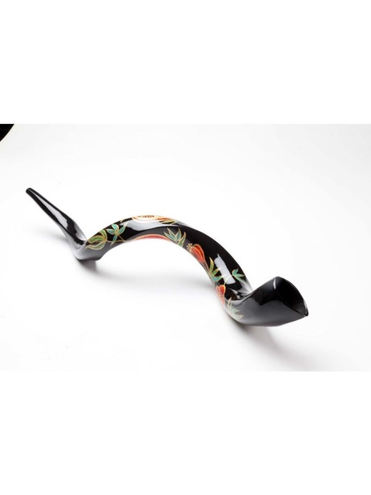 Shofar yéménite peint à la main avec grenades | Shofars décorés
