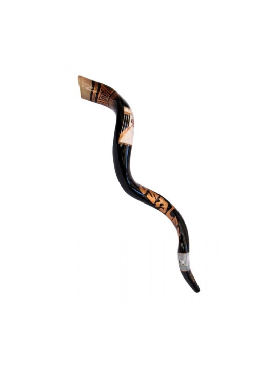 Temple Shofar yéménite peint à la main par les collectionneurs... | Shofars décorés