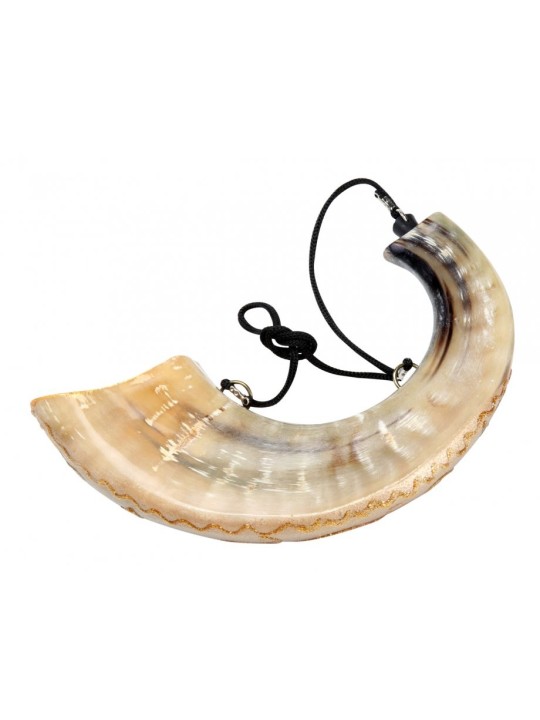 Colombe peinte de la paix onction corne de bélier Shofar | Shofars décorés