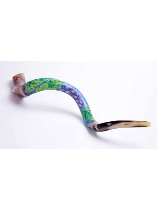 Grappe de raisin Shofar yéménite peinte à la main | Shofars décorés