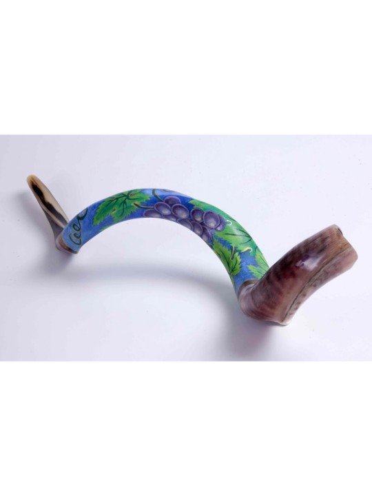 Grappe de raisin Shofar yéménite peinte à la main | Shofars décorés