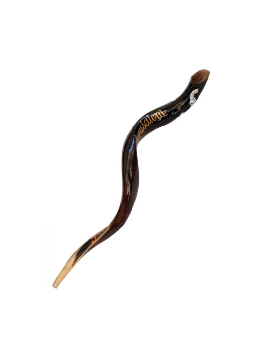 Shofar yéménite peint à la main pour collectionneurs Paix o... | Shofars décorés