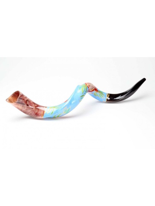 Shofar yéménite peint à la main avec grenade animée... | Shofars décorés