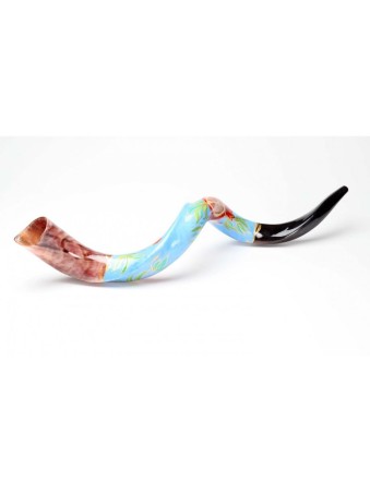 Shofar yéménite peint à la main avec grenade animée... | Shofars décorés