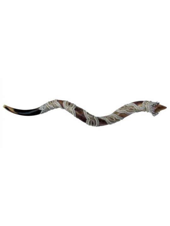 Shofar décoré yéménite Pearl style yéménite | Shofars yéménites