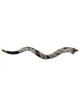 Shofar décoré yéménite Pearl style yéménite | Shofars yéménites
