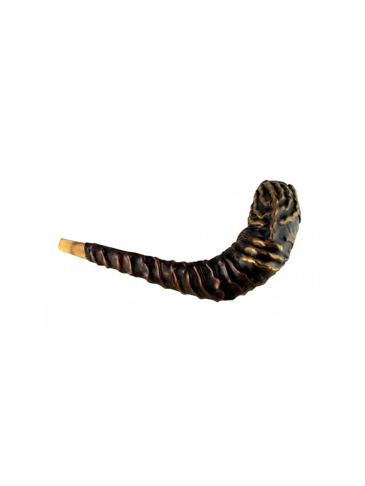 בכריכה עור ייחודית Rams Horn שופר %96 ... | שופרות מעוצבות