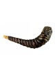 בכריכה עור ייחודית Rams Horn שופר %96 ... | שופרות מעוצבות