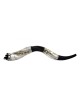 Shofar yéménite en argent coupé en couronne Jérusalem | Shofars en argent sterling