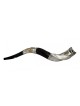 Shofar yéménite en argent coupé en couronne Jérusalem | Shofars en argent sterling