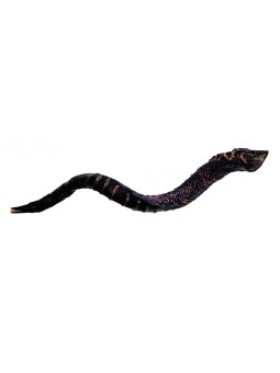 Majestic Cuir relié Jumbo Yéménite Shofar St... | Shofars décorés