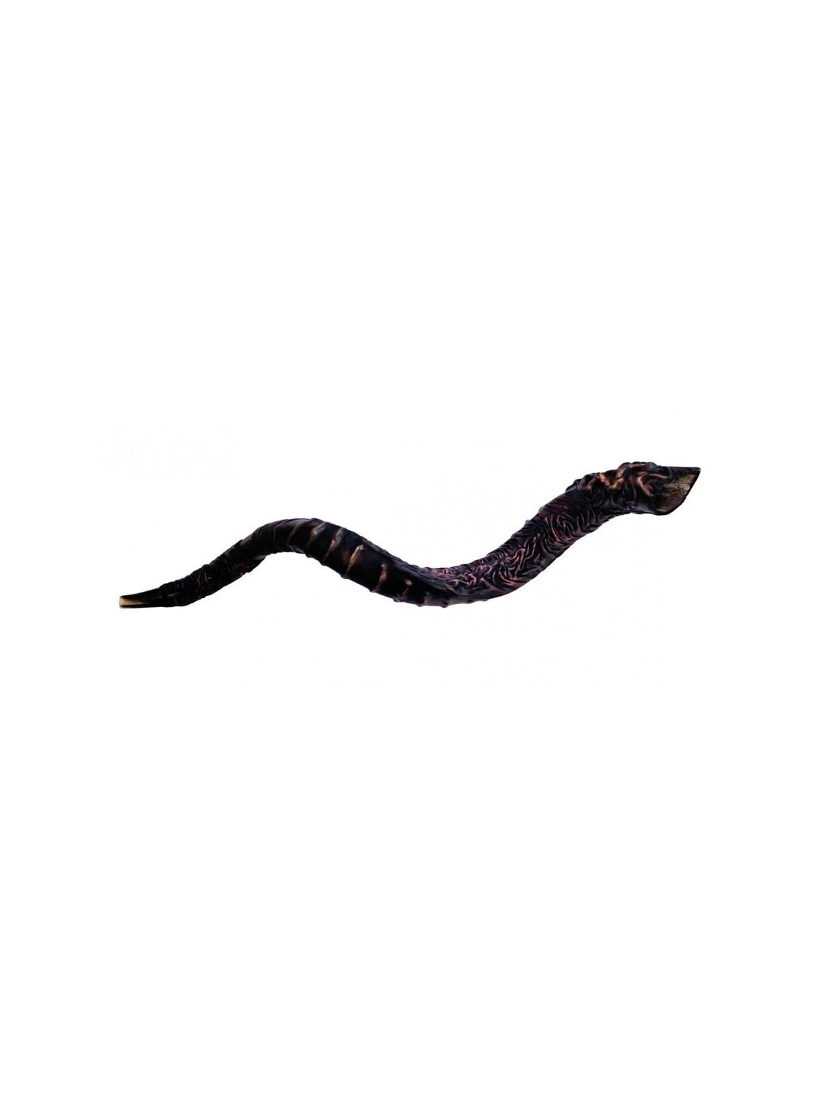 Majestic Cuir relié Jumbo Yéménite Shofar St... | Shofars décorés