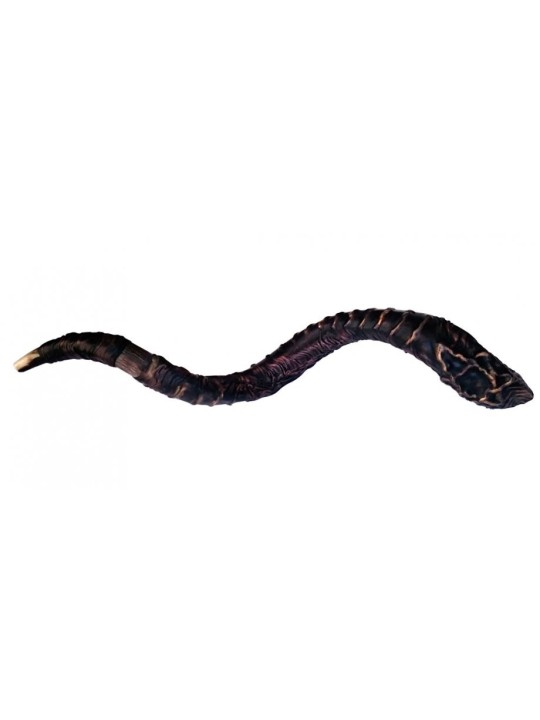 Majestic Leather bound Jumbo רחוב שופר תימני... | שופרות מעוצבות