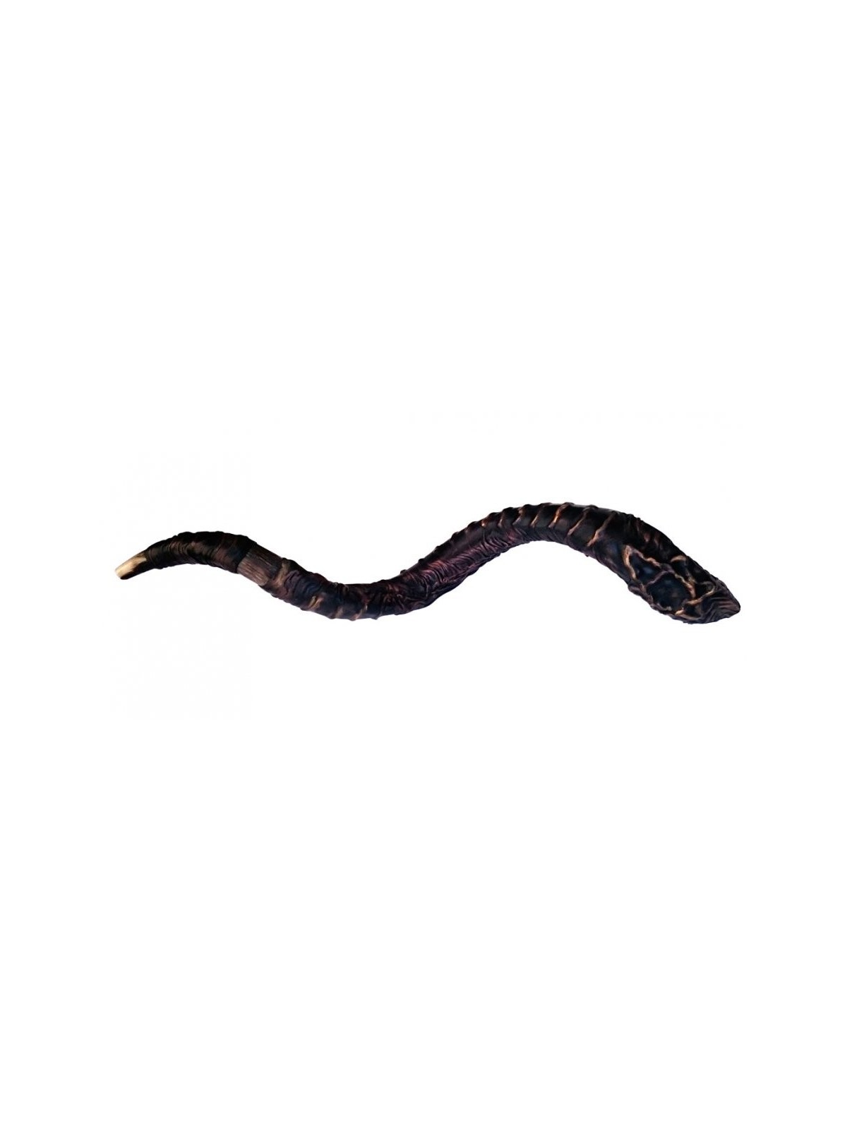 Majestic Cuir relié Jumbo Yéménite Shofar St... | Shofars décorés
