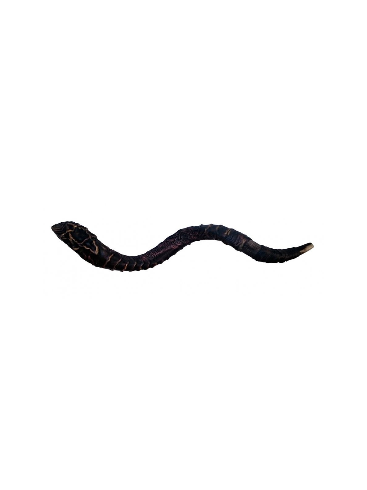 Majestic Cuir relié Jumbo Yéménite Shofar St... | Shofars décorés