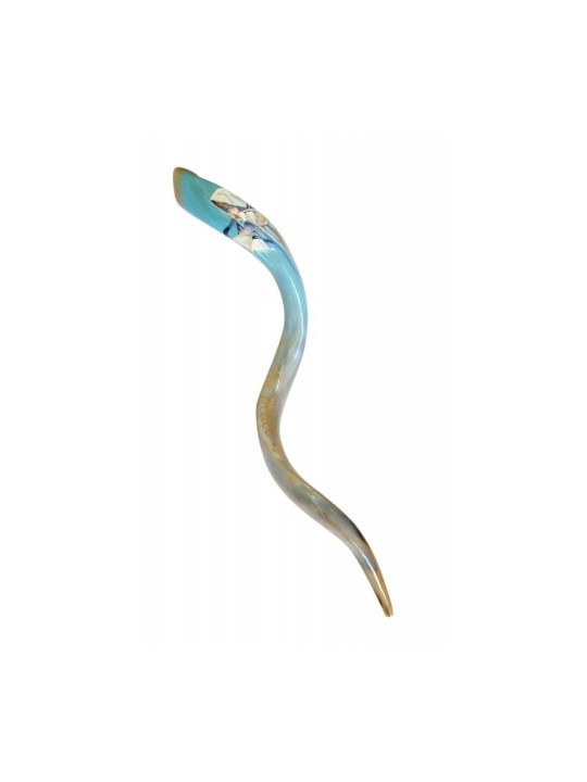 Collectors Hand Painted Yemenite Shofar Jerusal... | Decorated Shofars