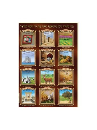 Laminated Colorful Wall Poster Twelve Tribes of Israel wi... | Posters