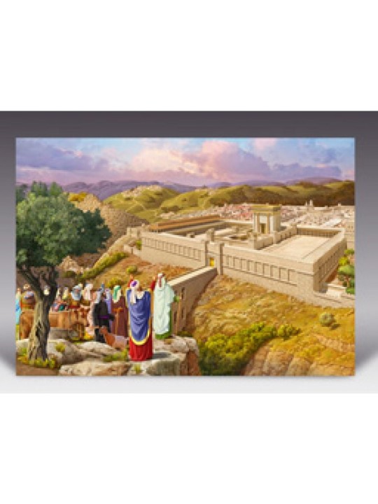 Laminated Colorful Wall Poster Pilgrim Jews arriving at T... | Posters