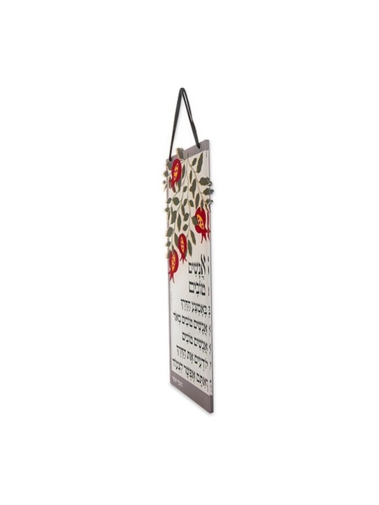 דורית יודאיקה Lucite תליית קיר צבעוני... | מתלי קיר מאת דורית