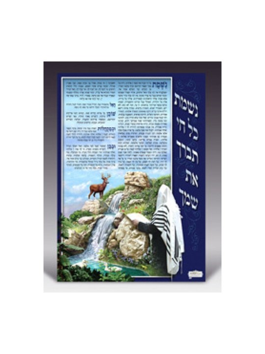 Laminated Colorful Wall Poster Nishmat Kol Chai | Posters