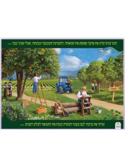 Affiche murale colorée plastifiée Un champ pendant la Shmita... | Affiches