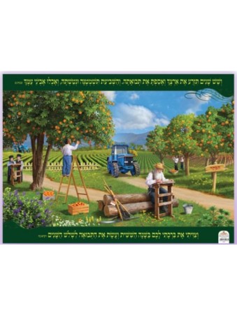 Affiche murale colorée plastifiée Un champ pendant la Shmita... | Affiches