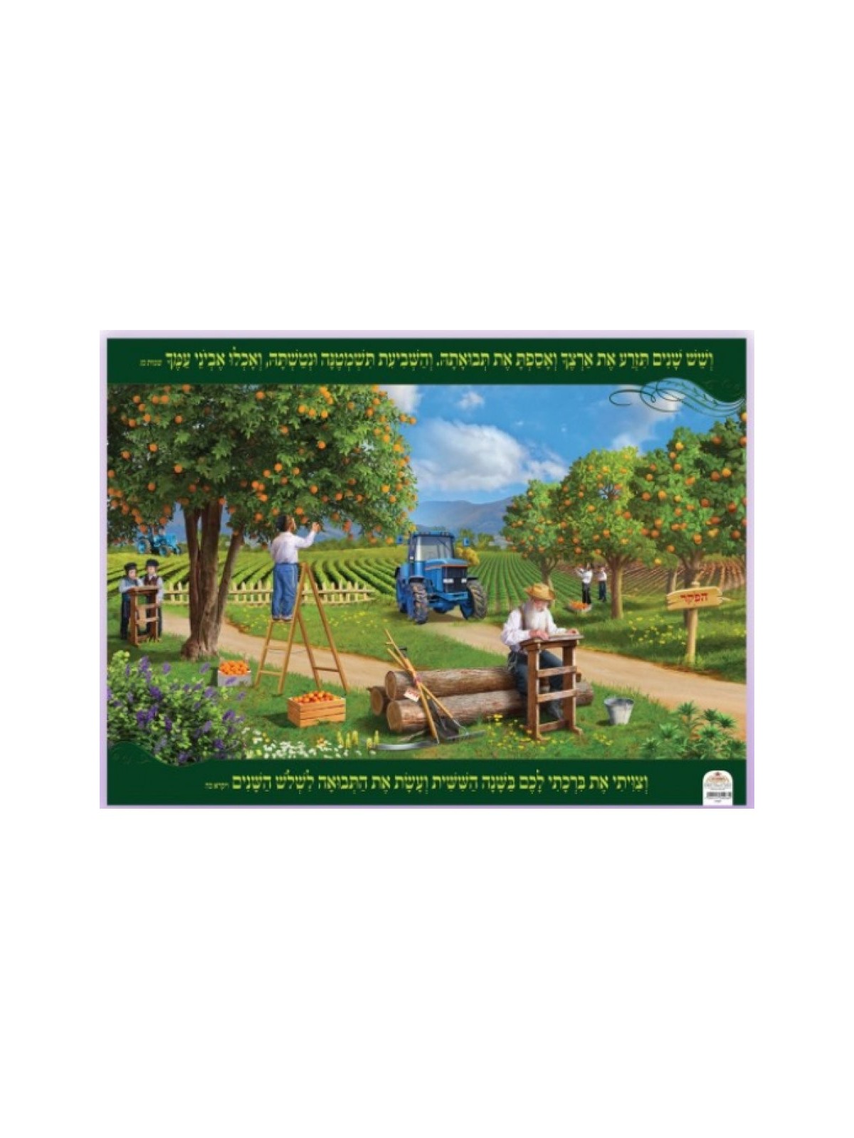 Affiche murale colorée plastifiée Un champ pendant la Shmita... | Affiches