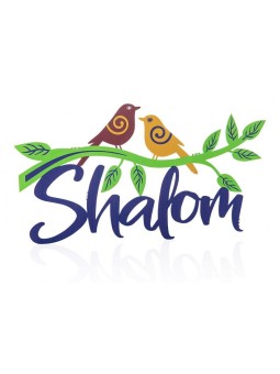 Dorit Judaica Plaque murale colorée Shalom... | Lettres flottantes par Dorit
