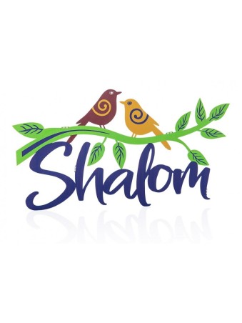 Dorit Judaica Plaque murale colorée Shalom... | Lettres flottantes par Dorit