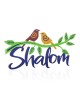 Dorit Judaica Plaque murale colorée Shalom... | Lettres flottantes par Dorit