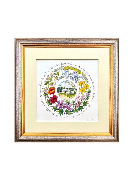 Dvora Couleurs noires des forêts de Jérusalem Sign... | Jeux et jouets pour enfants