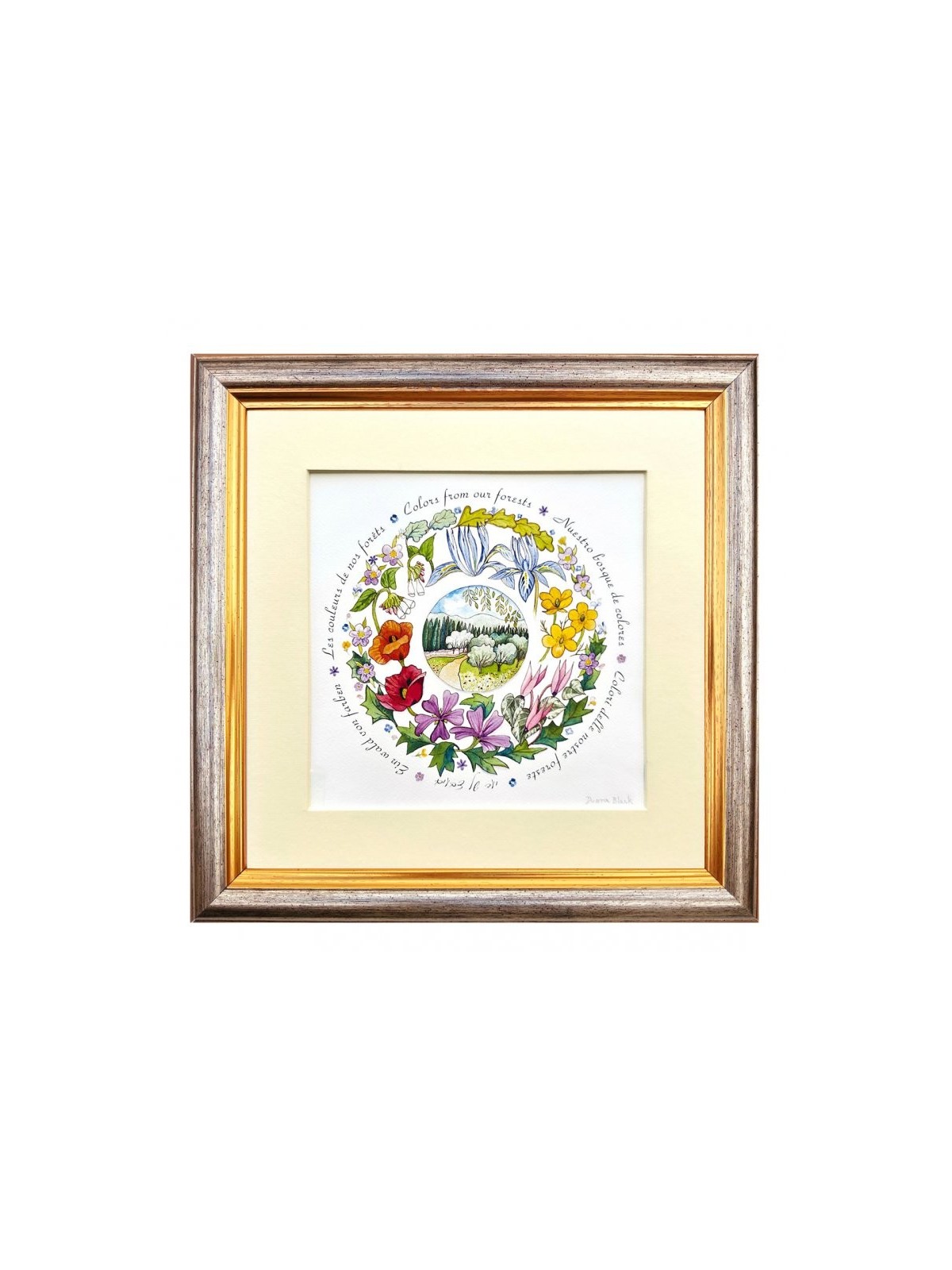 Dvora Black Colors from Jerusalem Forests Sig... | Kids Games and Toys