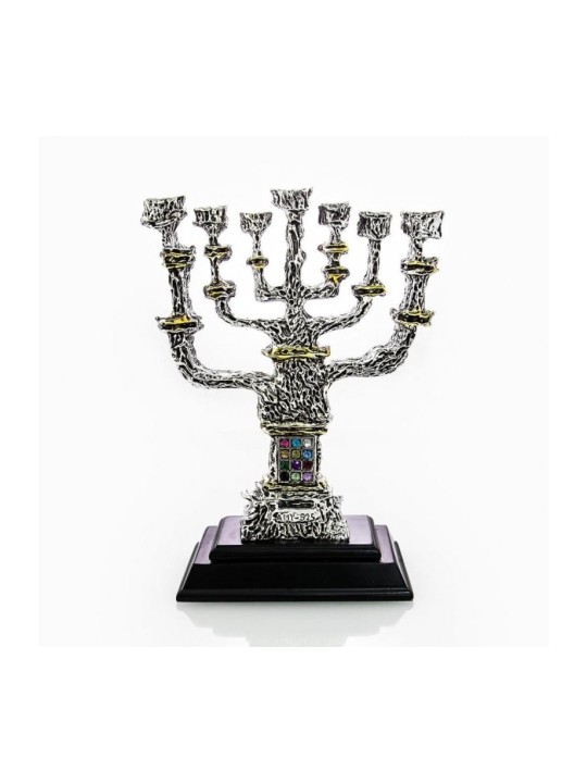 חנוכייה דקורטיבית 7 סניפים בציפוי כסף עם א... | צלמיות