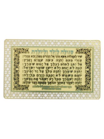 Pocket Size Velvet Holder with Laminated Cards Amu... | Misc Blessings