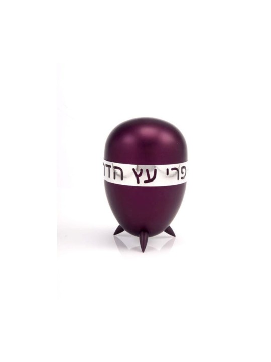 Agayof Prestigious Gleaming Anodized Aluminium Etrog ho... | Etrog Box