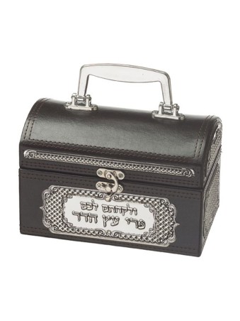Boîte Etrog de coffre en simili cuir avec plaque décorative en métal... | Boîte d'étrog