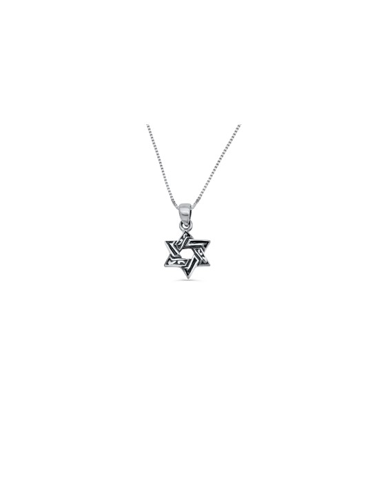 Small Silver Star of David Adorned Pendant , Sterling Silver Family Ne