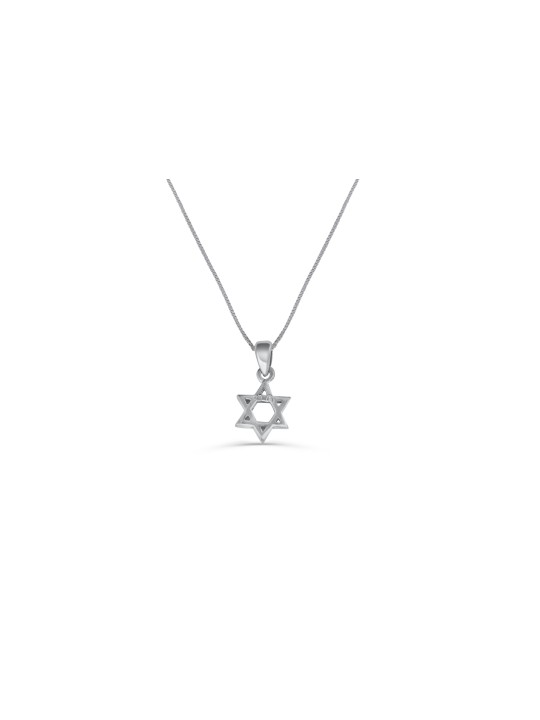 Charmant et petit collier en argent étoile de David, famille en argent sterling