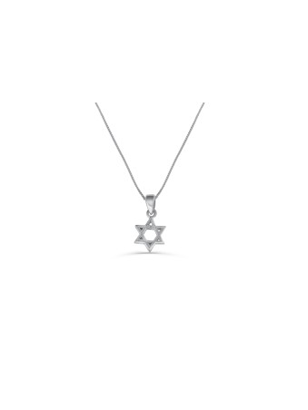 Charmant et petit collier en argent étoile de David, famille en argent sterling