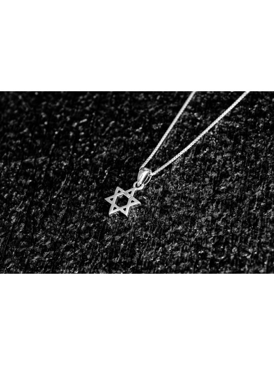 Charming and Small Star of David Silver Necklace , Sterling Silver Fam
