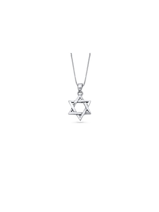 Pendentif étoile de David en argent sterling torsadé, famille en argent sterling