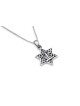 Pendentif Magen David et Menorah en argent, collier familial en argent sterling
